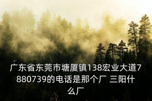 廣東省東莞市塘廈鎮(zhèn)138宏業(yè)大道7880739的電話是那個(gè)廠 三陽什么廠