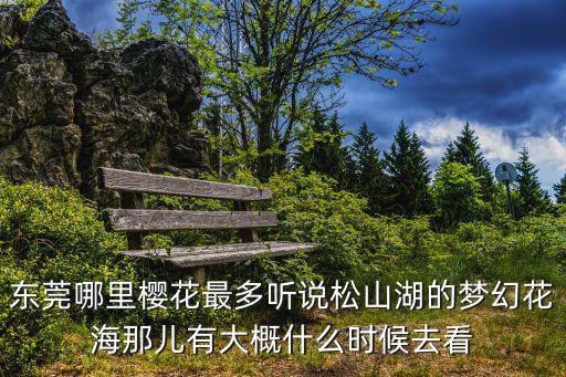東莞哪里櫻花最多聽說松山湖的夢幻花海那兒有大概什么時候去看