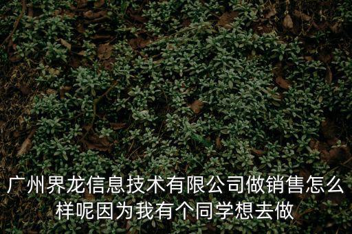廣州界龍信息技術(shù)有限公司做銷售怎么樣呢因為我有個同學(xué)想去做
