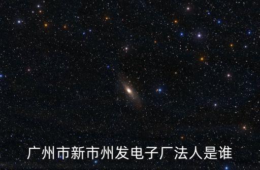 廣州市新市州發電子廠法人是誰