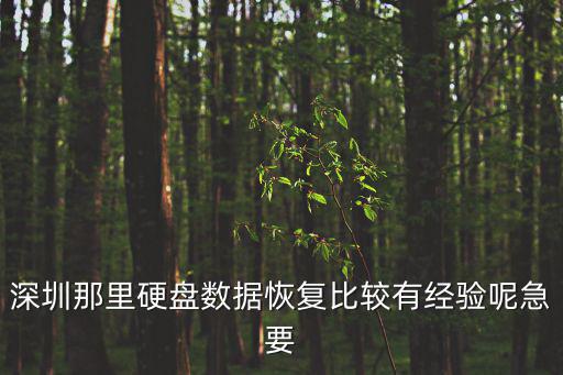 深圳那里硬盤數據恢復比較有經驗呢急要