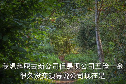 廣州佳都新太 待遇，我剛找到一個新工作是在商場賣珠寶的我們一共是三個新人都是