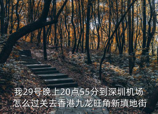 我29號(hào)晚上20點(diǎn)55分到深圳機(jī)場(chǎng) 怎么過(guò)關(guān)去香港九龍旺角新填地街