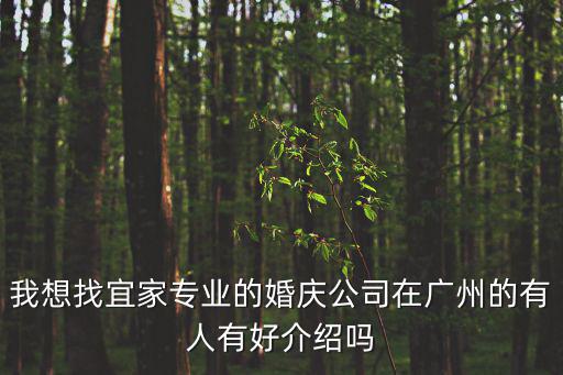 廣州chushou婚慶彩棚，廣州金百合婚紗攝影