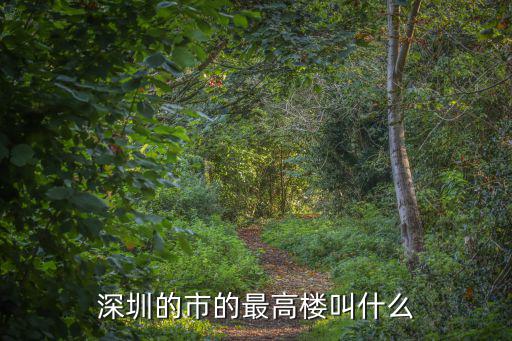 深圳的市的最高樓叫什么