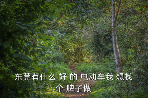 東莞有什么 好 的 電動車我 想找個 牌子做