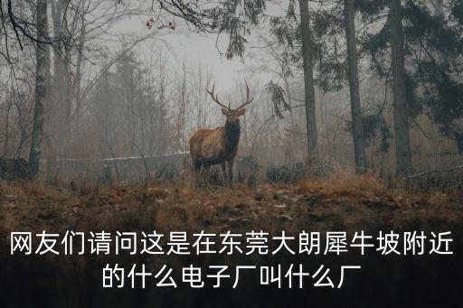 網友們請問這是在東莞大朗犀牛坡附近的什么電子廠叫什么廠
