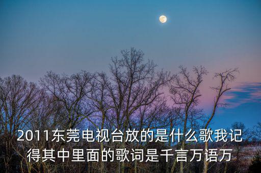 2011東莞電視臺放的是什么歌我記得其中里面的歌詞是千言萬語萬