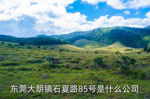 東莞大朗鎮石夏路85號是什么公司