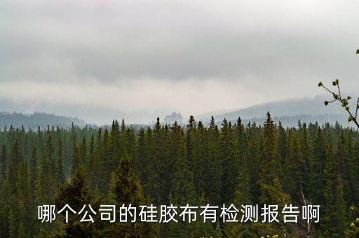 哪個公司的硅膠布有檢測報告啊