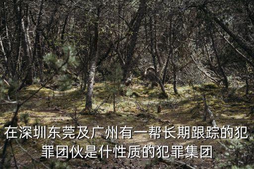 在深圳東莞及廣州有一幫長期跟蹤的犯罪團伙是什性質的犯罪集團