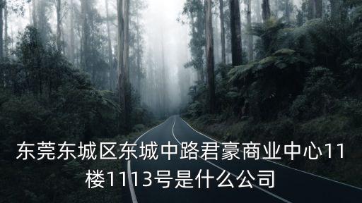 東莞市耀豪實業投資公司，東莞東城區東城中路君豪商業中心10樓1005號是什么公司