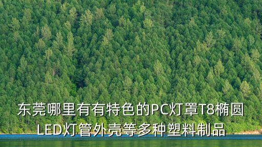 東莞哪里有有特色的PC燈罩T8橢圓LED燈管外殼等多種塑料制品