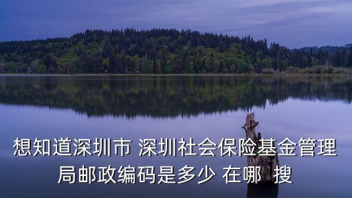 深圳社?；鸸芾砭?，查找深圳退休人員社?；鸸芾砭W(wǎng)
