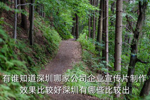 有誰知道深圳哪家公司企業宣傳片制作效果比較好深圳有哪些比較出