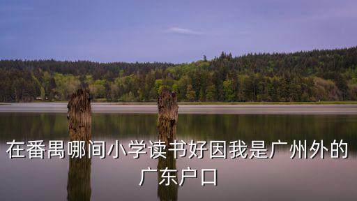 在番禺哪間小學讀書好因我是廣州外的廣東戶口