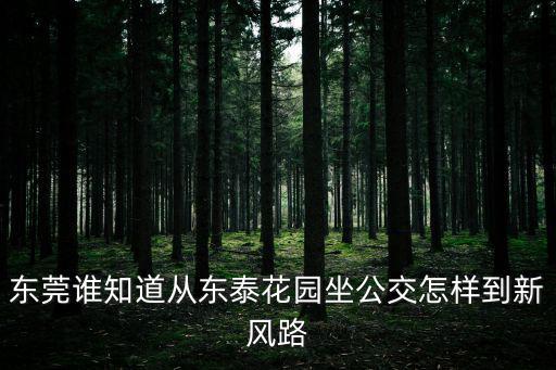 東莞誰知道從東泰花園坐公交怎樣到新風(fēng)路