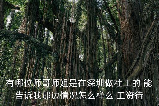 有哪位師哥師姐是在深圳做社工的 能告訴我那邊情況怎么樣么 工資待