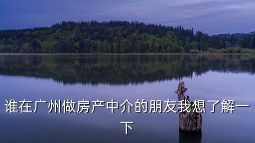 廣州市房地產(chǎn)中介協(xié)會網(wǎng)站，廣州房地產(chǎn)中介