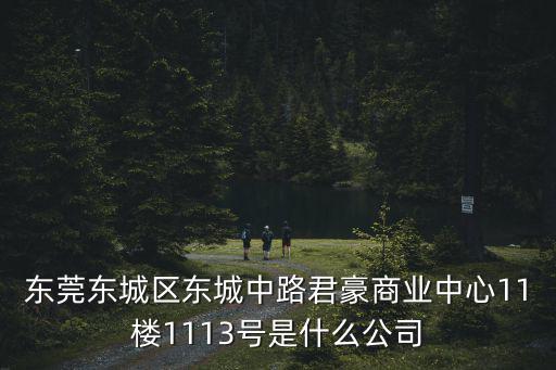 東莞東城區(qū)東城中路君豪商業(yè)中心11樓1113號(hào)是什么公司