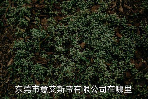 東莞市意艾斯帝有限公司在哪里