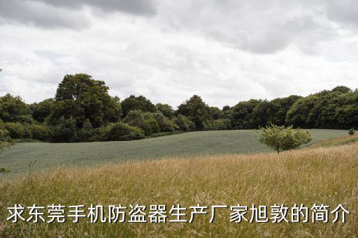 東莞市國寶科技有限公司，東莞防盜報警專家