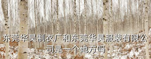 東莞華昊制衣廠和東莞華昊服裝有限公司是一個地方嗎