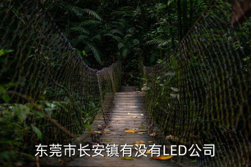 東莞市長安鎮(zhèn)有沒有LED公司