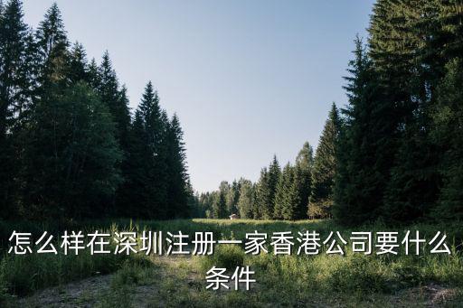 怎么樣在深圳注冊一家香港公司要什么條件