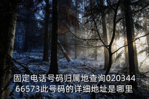 固定電話號碼歸屬地查詢02034466573此號碼的詳細地址是哪里