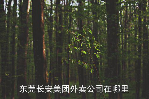 東莞長安美團外賣公司在哪里