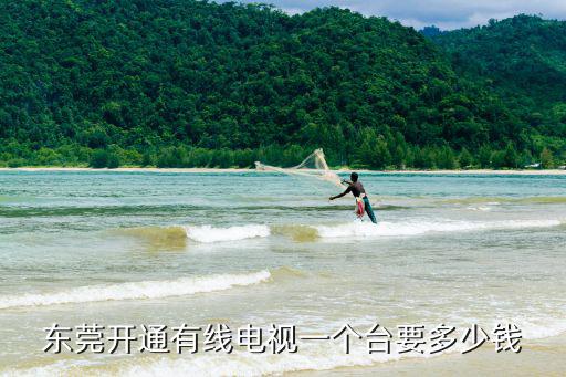 東莞開通有線電視一個臺要多少錢