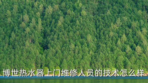 博世熱水器上門維修人員的技術怎么樣