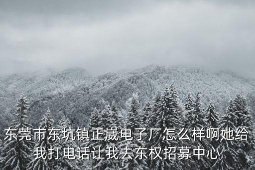 東莞市東坑鎮(zhèn)正崴電子廠怎么樣啊她給我打電話讓我去東權(quán)招募中心