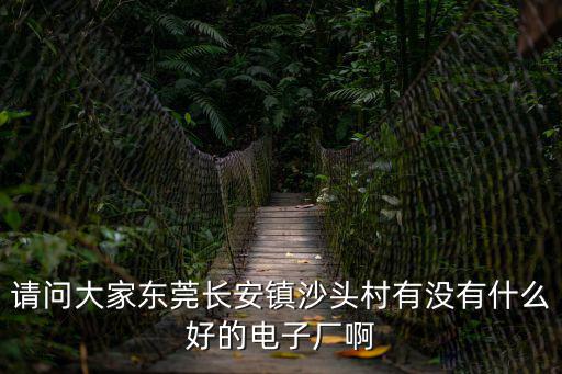 東莞長安沙頭立業電子廠，請問東莞長安沙頭南區有什么電子廠招工的不