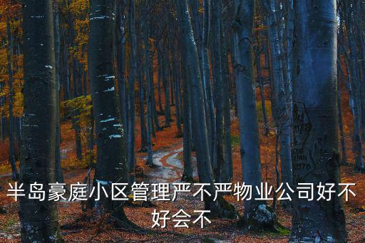 半島豪庭小區(qū)管理嚴(yán)不嚴(yán)物業(yè)公司好不好會不