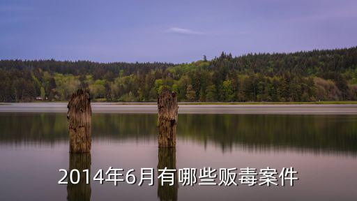 2014年6月有哪些販毒案件