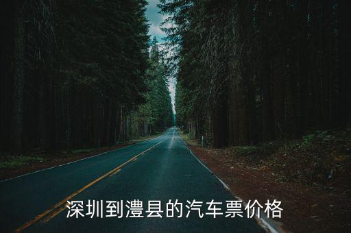 深圳到澧縣的汽車票價格