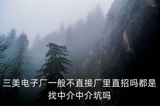 三美電子廠一般不直接廠里直招嗎都是找中介中介坑嗎
