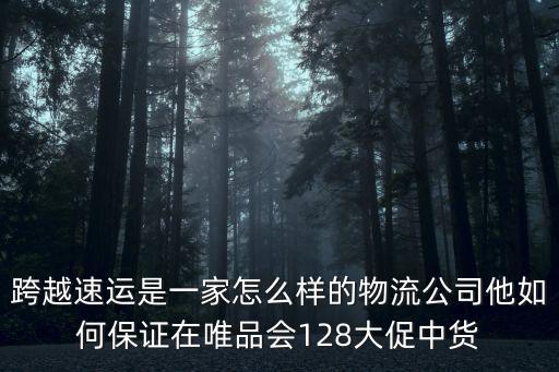 跨越速運是一家怎么樣的物流公司他如何保證在唯品會128大促中貨