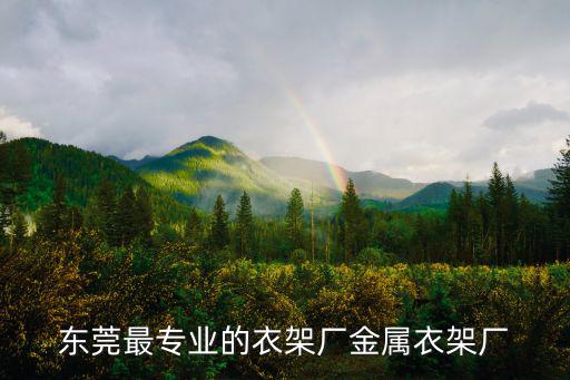 東莞最專業(yè)的衣架廠金屬衣架廠