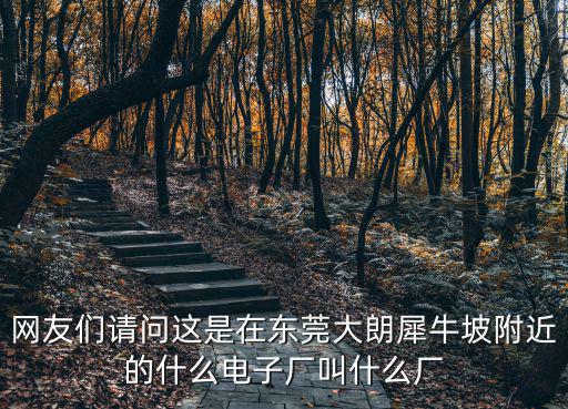 網友們請問這是在東莞大朗犀牛坡附近的什么電子廠叫什么廠