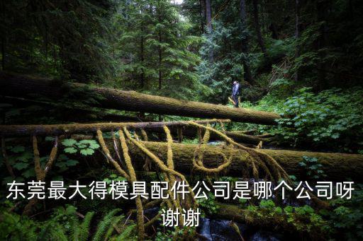 東莞最大得模具配件公司是哪個公司呀謝謝