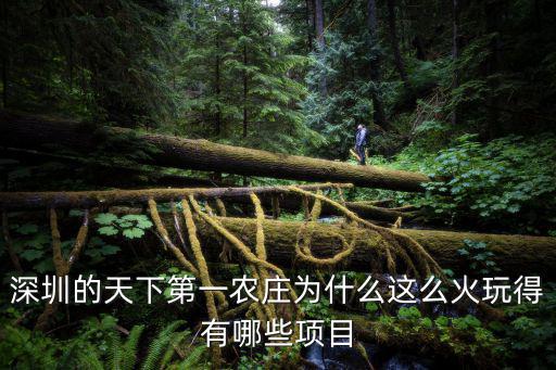 深圳的天下第一農莊為什么這么火玩得有哪些項目