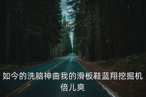 如今的洗腦神曲我的滑板鞋藍翔挖掘機倍兒爽