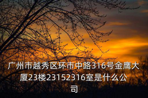 廣州市海盾橡膠有限公司咨詢電話，廣州市越秀區環市中路316號金鷹大廈23樓23152316室是什么公司