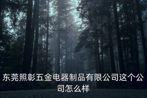 東莞照彰五金電器制品有限公司這個公司怎么樣