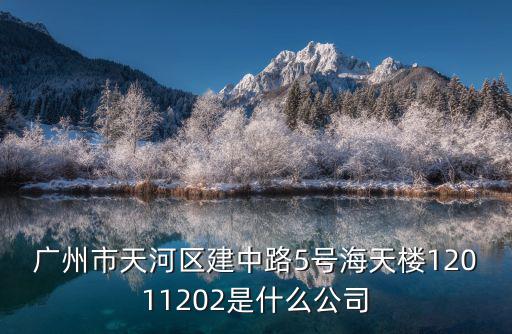 廣州市天河區建中路5號海天樓12011202是什么公司