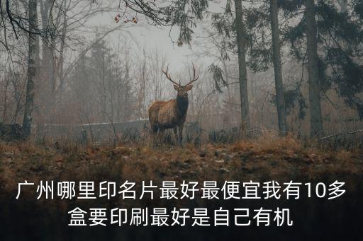 廣州哪里印名片最好最便宜我有10多盒要印刷最好是自己有機