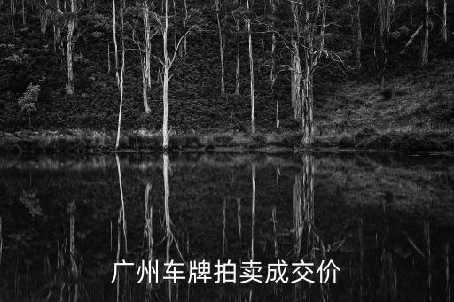 廣州車牌拍賣成交價